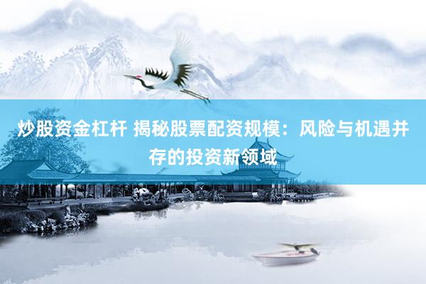 炒股资金杠杆 揭秘股票配资规模：风险与机遇并存的投资新领域