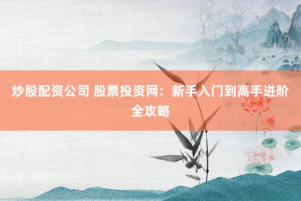 炒股配资公司 股票投资网：新手入门到高手进阶全攻略