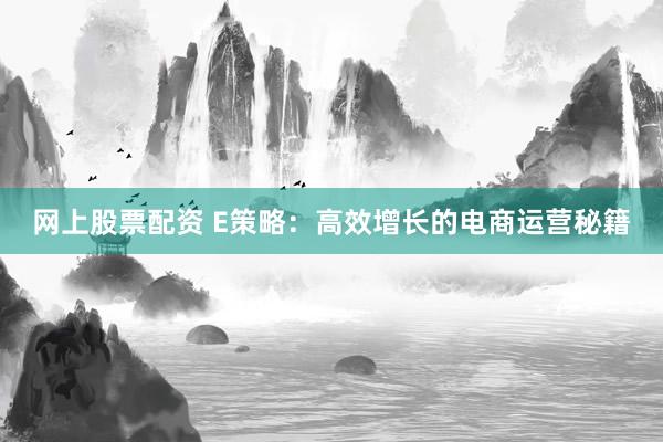 网上股票配资 E策略：高效增长的电商运营秘籍