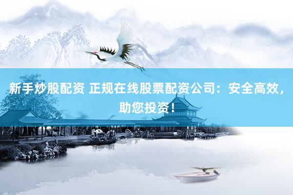 新手炒股配资 正规在线股票配资公司：安全高效，助您投资！