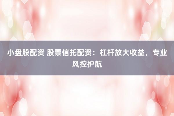 小盘股配资 股票信托配资：杠杆放大收益，专业风控护航