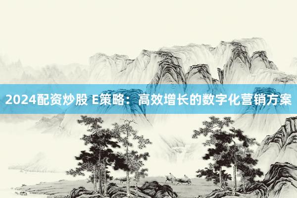 2024配资炒股 E策略：高效增长的数字化营销方案
