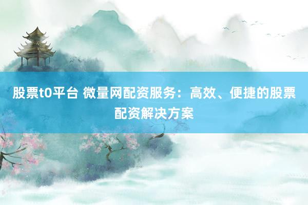 股票t0平台 微量网配资服务：高效、便捷的股票配资解决方案