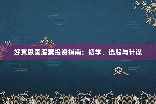 好意思国股票投资指南：初学、选股与计谋
