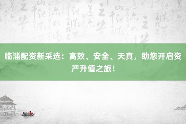 临淄配资新采选：高效、安全、天真，助您开启资产升值之旅！
