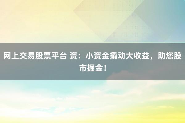 网上交易股票平台 资：小资金撬动大收益，助您股市掘金！