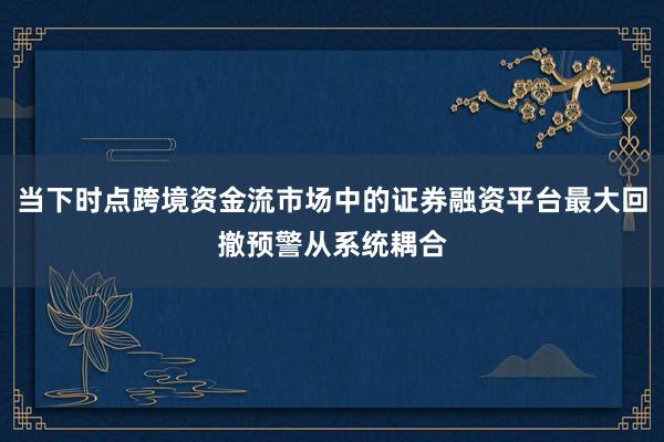 当下时点跨境资金流市场中的证券融资平台最大回撤预警从系统耦合