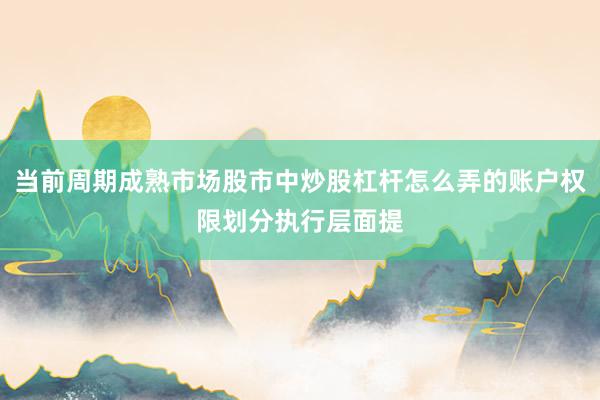 当前周期成熟市场股市中炒股杠杆怎么弄的账户权限划分执行层面提