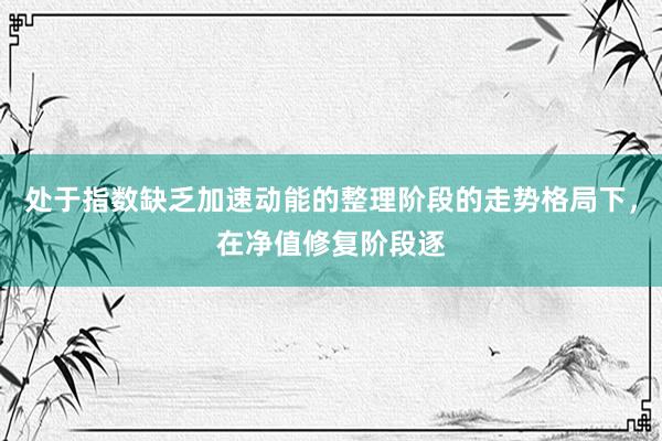 处于指数缺乏加速动能的整理阶段的走势格局下，在净值修复阶段逐