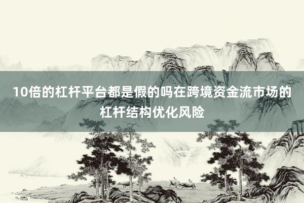 10倍的杠杆平台都是假的吗在跨境资金流市场的杠杆结构优化风险