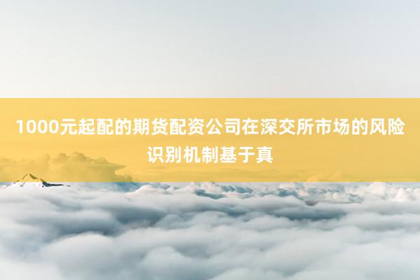1000元起配的期货配资公司在深交所市场的风险识别机制基于真