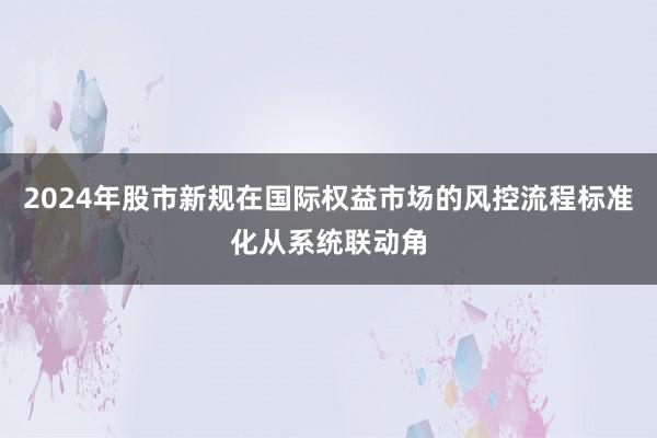 2024年股市新规在国际权益市场的风控流程标准化从系统联动角