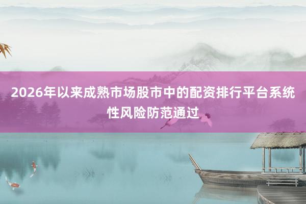2026年以来成熟市场股市中的配资排行平台系统性风险防范通过