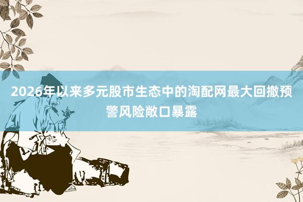 2026年以来多元股市生态中的淘配网最大回撤预警风险敞口暴露