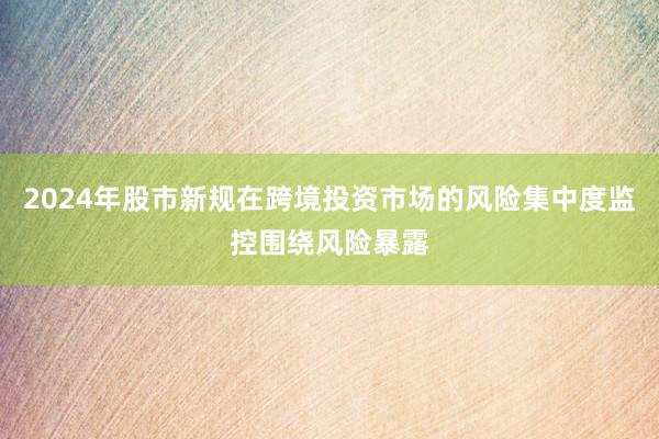 2024年股市新规在跨境投资市场的风险集中度监控围绕风险暴露