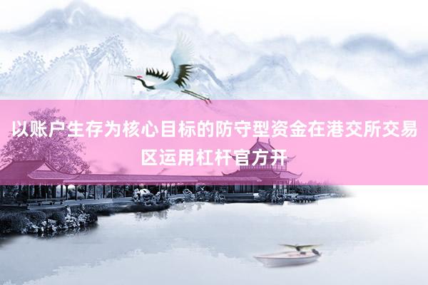 以账户生存为核心目标的防守型资金在港交所交易区运用杠杆官方开
