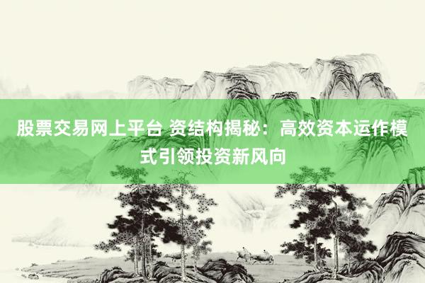 股票交易网上平台 资结构揭秘：高效资本运作模式引领投资新风向