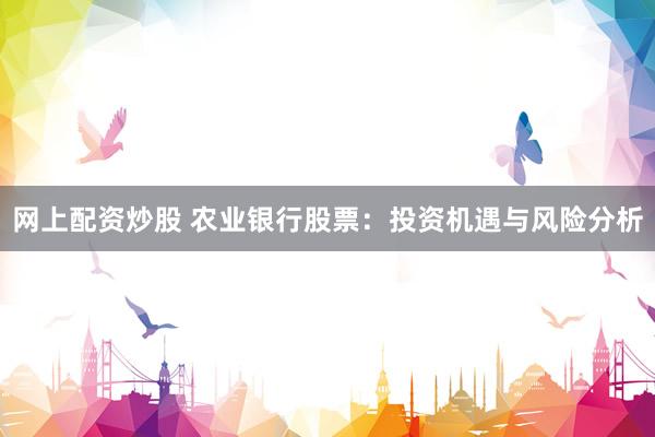 网上配资炒股 农业银行股票：投资机遇与风险分析